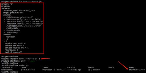 Docker化自動(dòng)采集環(huán)境 模擬惡意軟件分析的基礎(chǔ)軟件服務(wù)構(gòu)建